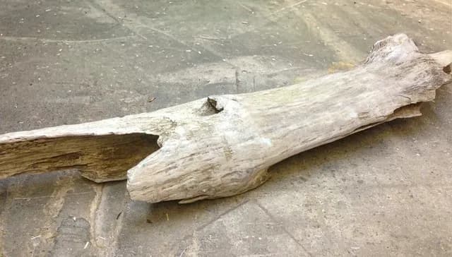 Natural driftwood 03