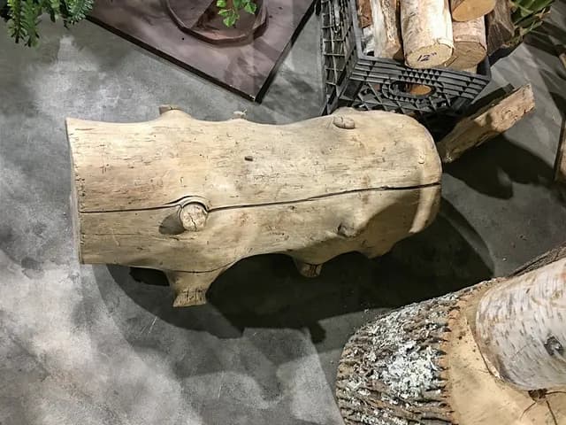 Natural driftwood 05