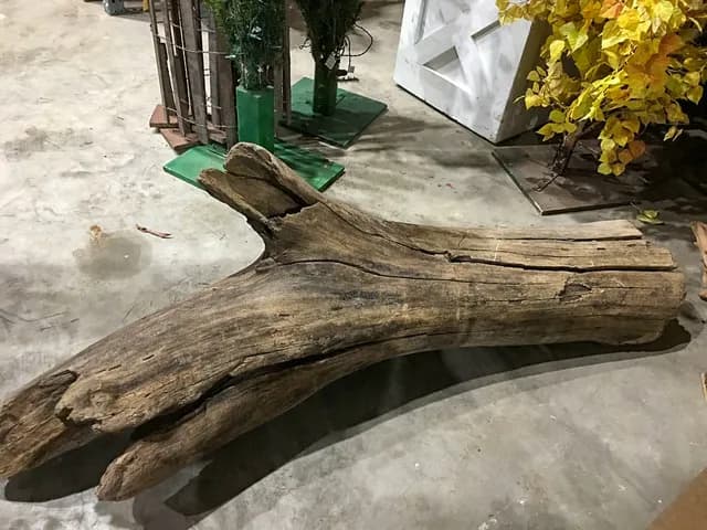 Natural driftwood 06