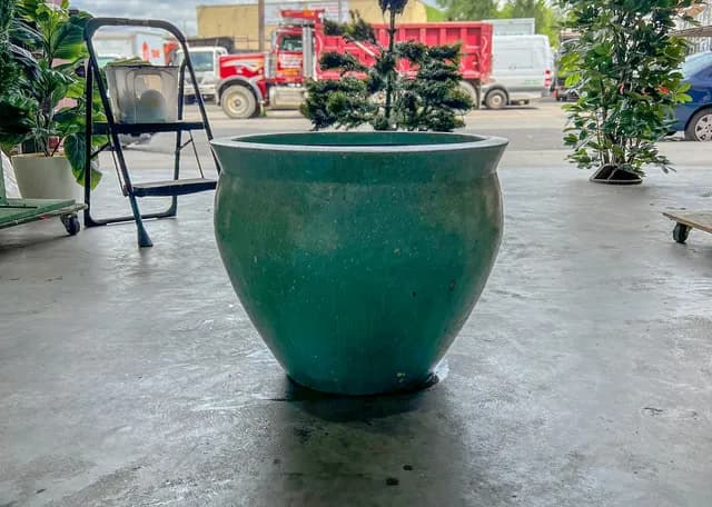 Planter 06
