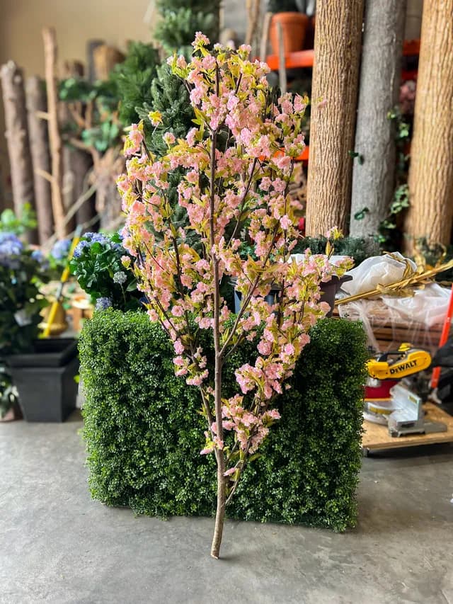 Flowering tree 05