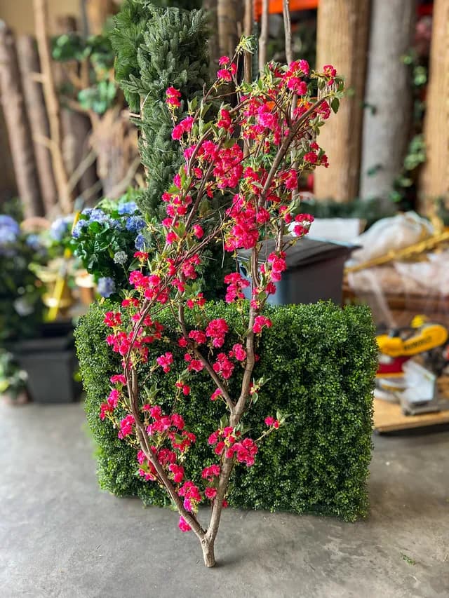 Flowering tree 06
