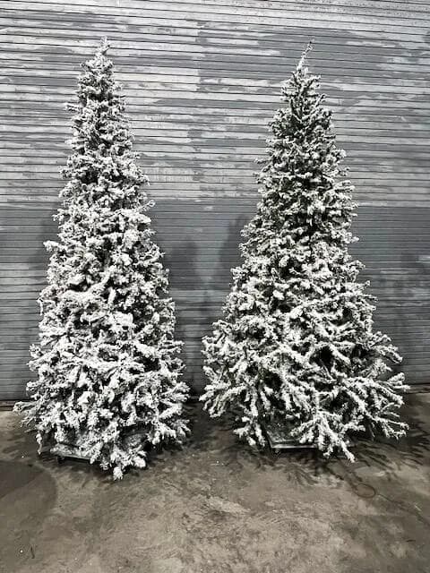 Christmas tree 01