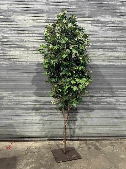 Foliage tree 05