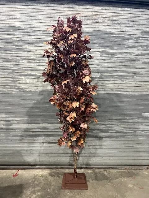 Autumn foliage tree 05