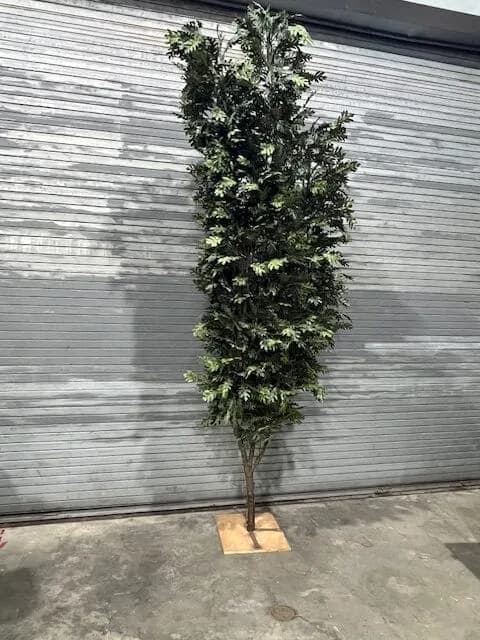 Foliage tree 03
