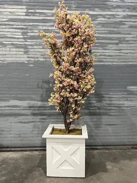 Flowering tree 01