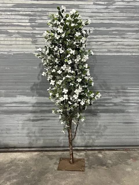 Flowering tree 04